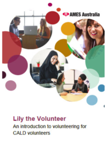 Lily the Volunteer