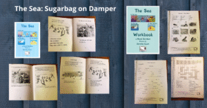 The Sea from Sugarbag on Damper